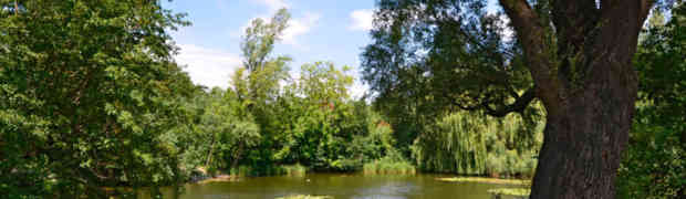 Erstfrühling am Mühlwasser